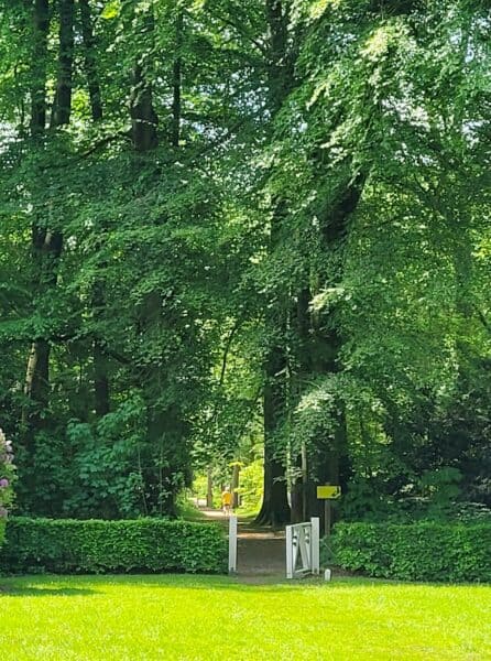 En het restaurant wil in de toekomst vooral Nederlandse wijnen gaan schenken.