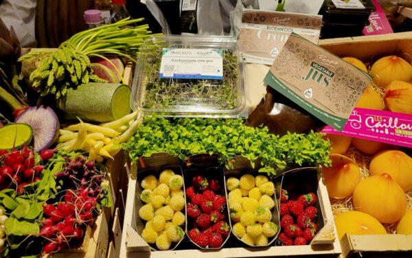 Euro-Toques Nederland Jaarevent 2024 