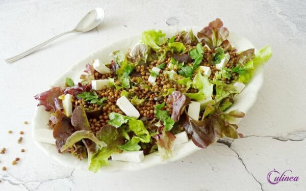 Heerlijke maaltijdsalades