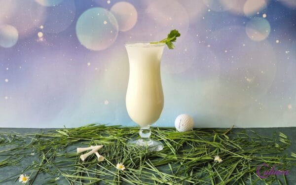 Koude drankjes voor warme dagen