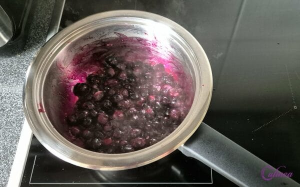 Toast met mozzarella en blauwe bessen