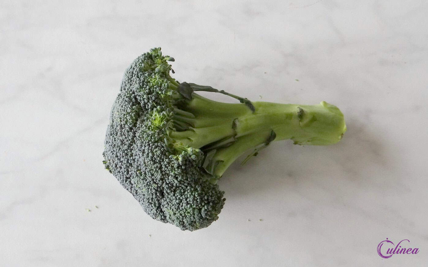 een stuk broccoli