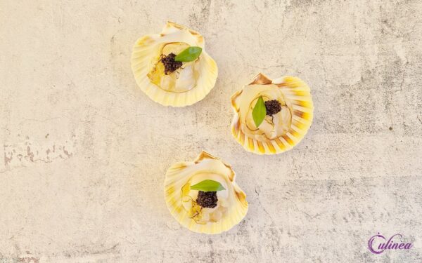 Coquilles met gebrande lardo