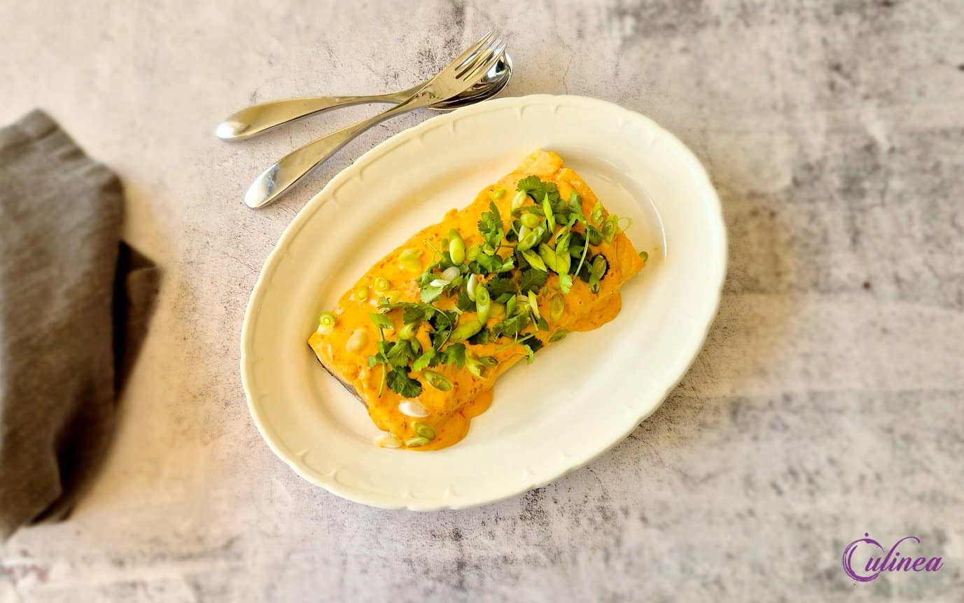 Airfryer Bang Bang Zalm