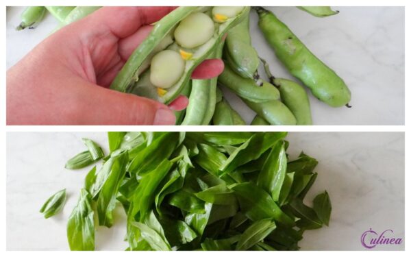 Broodje burrata met tuinbonen