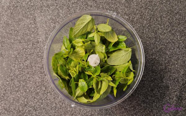 Oregano Pesto