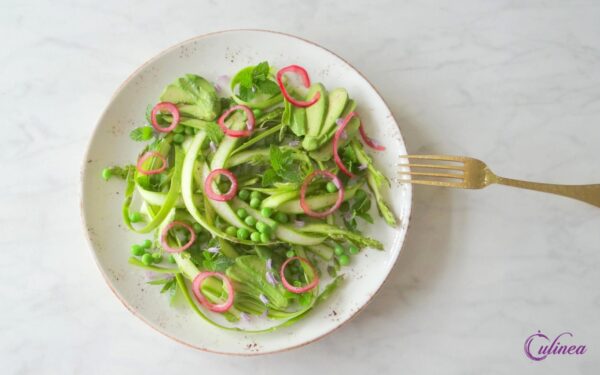 Verse Munt Oogsten Dit Kan je Er Allemaal Mee Doen