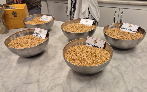 Italiaanse Tomaten in Blik en Tipo 00 Meel