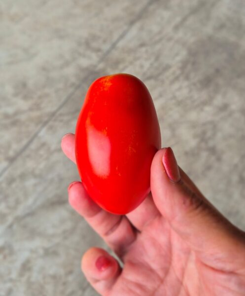 Italiaanse Tomaten in Blik en Tipo 00 Meel