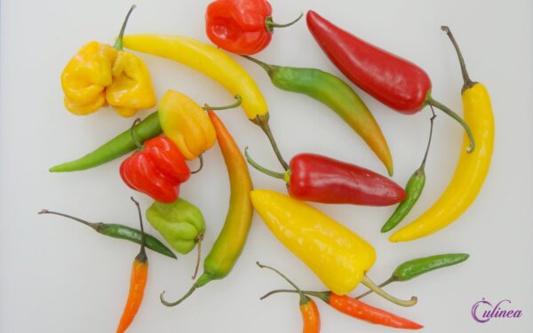 Welke pepers bestaan er en hoe gebruik je ze in de keuken