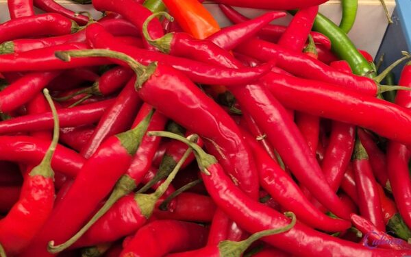 Welke pepers bestaan er en hoe gebruik je ze in de keuken