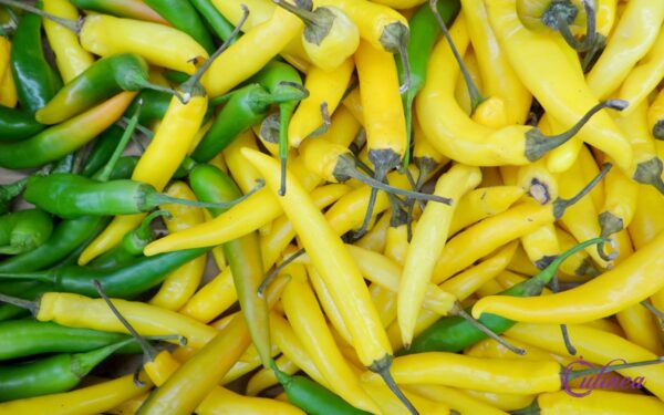 Welke pepers bestaan er en hoe gebruik je ze in de keuken