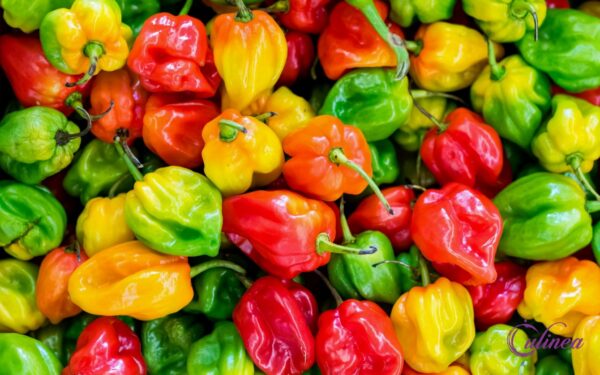 Welke pepers bestaan er en hoe gebruik je ze in de keuken