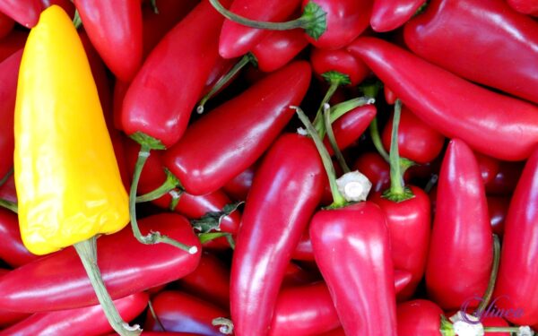 Welke pepers bestaan er en hoe gebruik je ze in de keuken