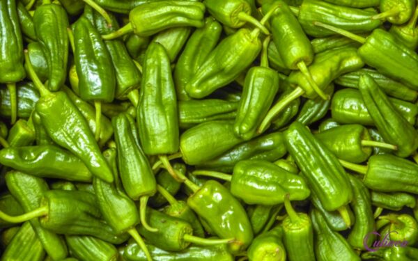 Welke pepers bestaan er en hoe gebruik je ze in de keuken