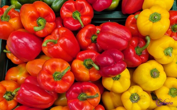 Welke pepers bestaan er en hoe gebruik je ze in de keuken