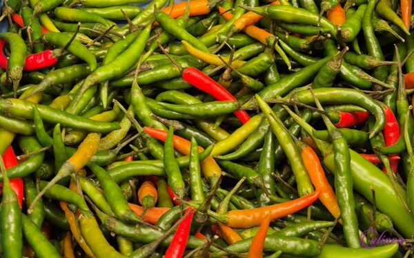 Welke pepers bestaan er en hoe gebruik je ze in de keuken