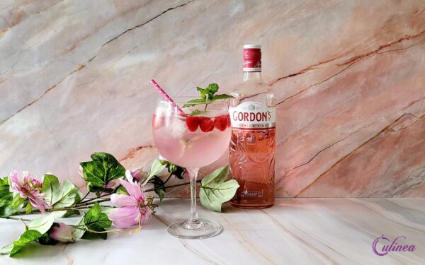 Gin Tonic Cocktails Maken