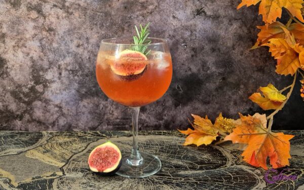 Gin Tonic Cocktails Maken