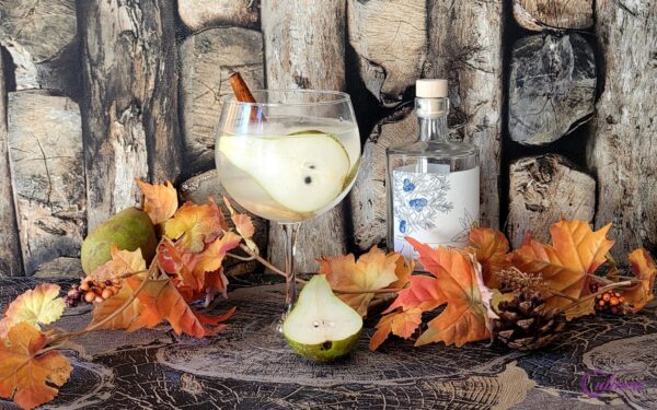 Gin Tonic Cocktails Maken